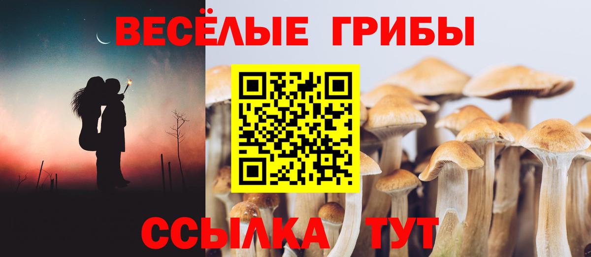 Псилоцибиновые грибы MAGIC MUSHROOMS  Вход с VPN  Ипатово 